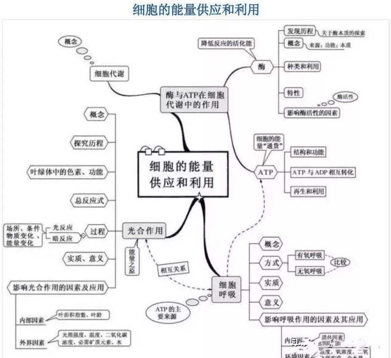 高中生這樣進(jìn)行課后復(fù)習(xí)比聽課都重要，您孩子做到了嗎？