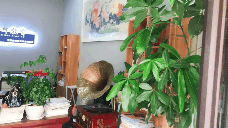 百年教育強(qiáng)勢(shì)進(jìn)駐云陽(yáng)，著力打造教育培訓(xùn)事業(yè)新高地！
