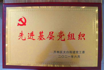 集團黨支部回報社會，努力踐行社會責任與擔當